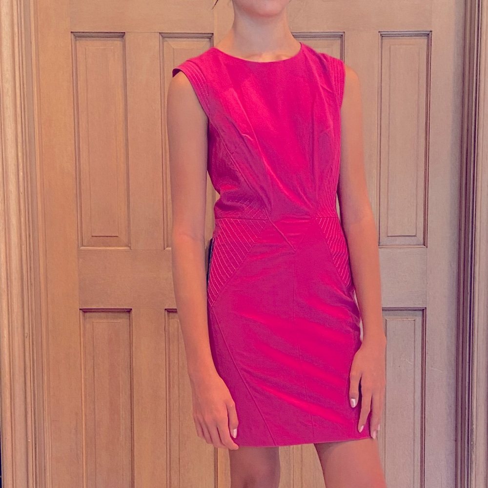 Pink Dress